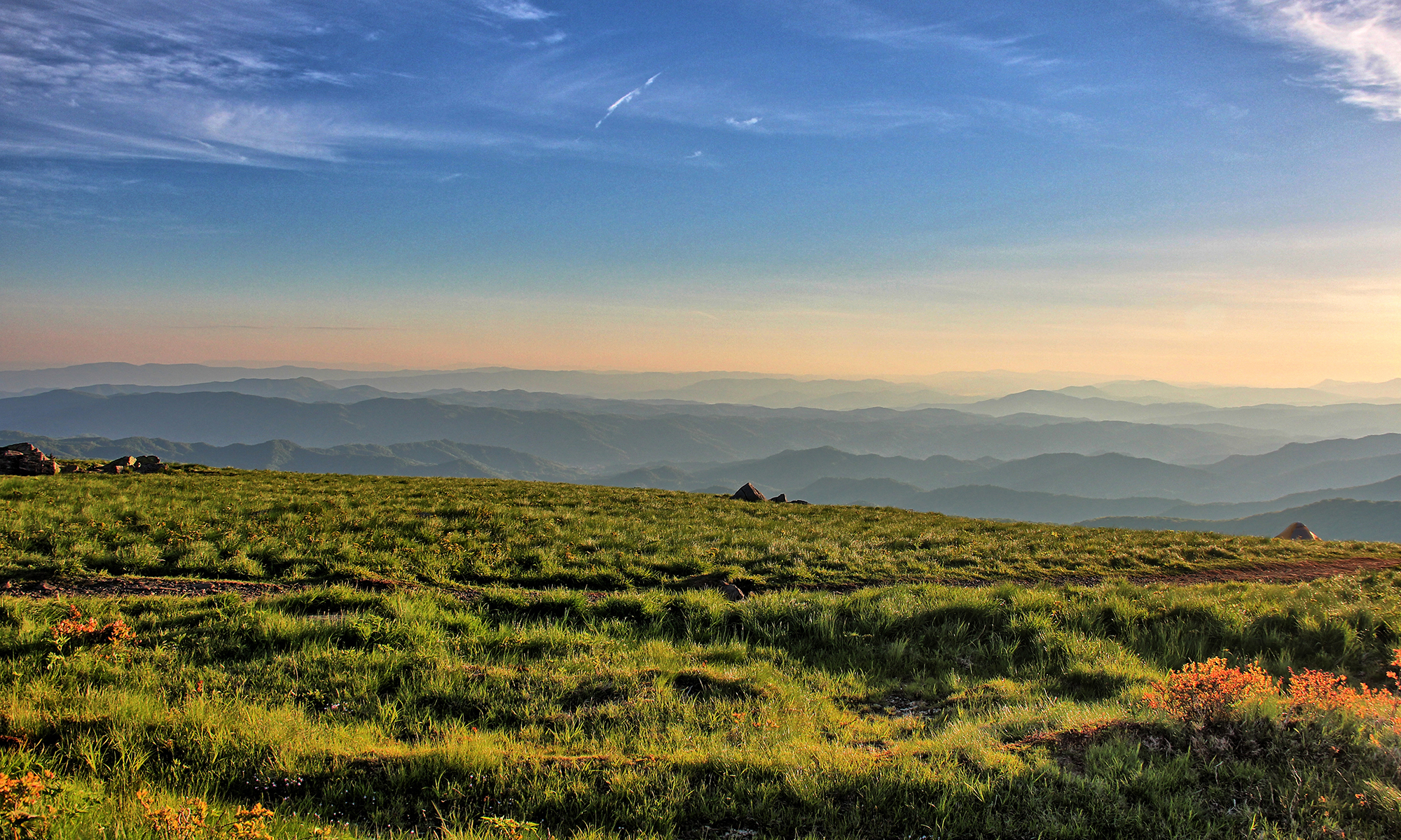 Round Bald Roan Mountain