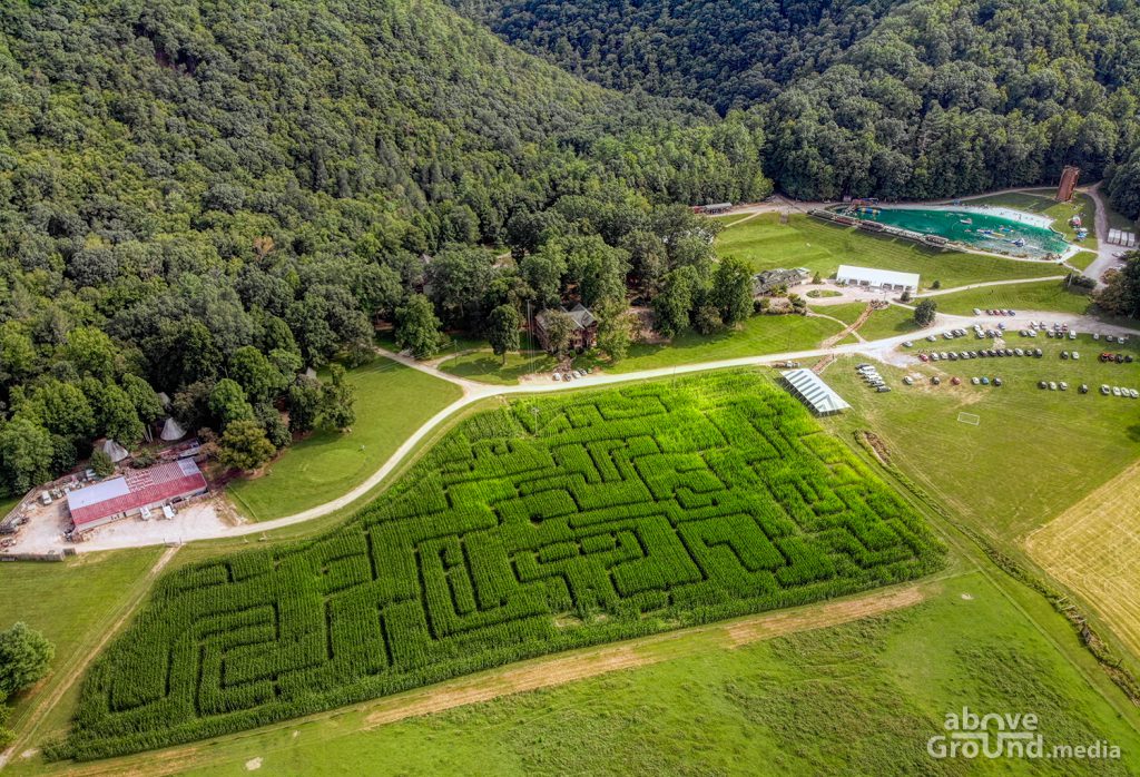 Corn Maze